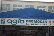 Mieszkańcy Gminy Mędrzechów na targach w Nawojowej-7