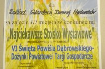Święto Powiśla Dąbrowskiego - Dożynki Powiatowe w Narożnikach-94
