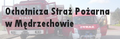 OSP Mędrzechów